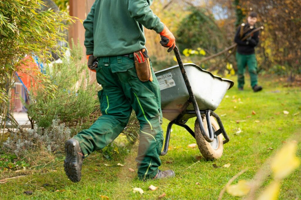 Garden Cleaning