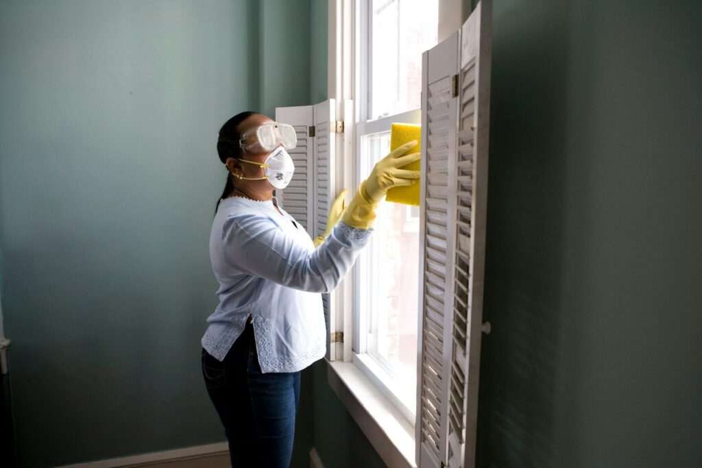 Professional cleaner
